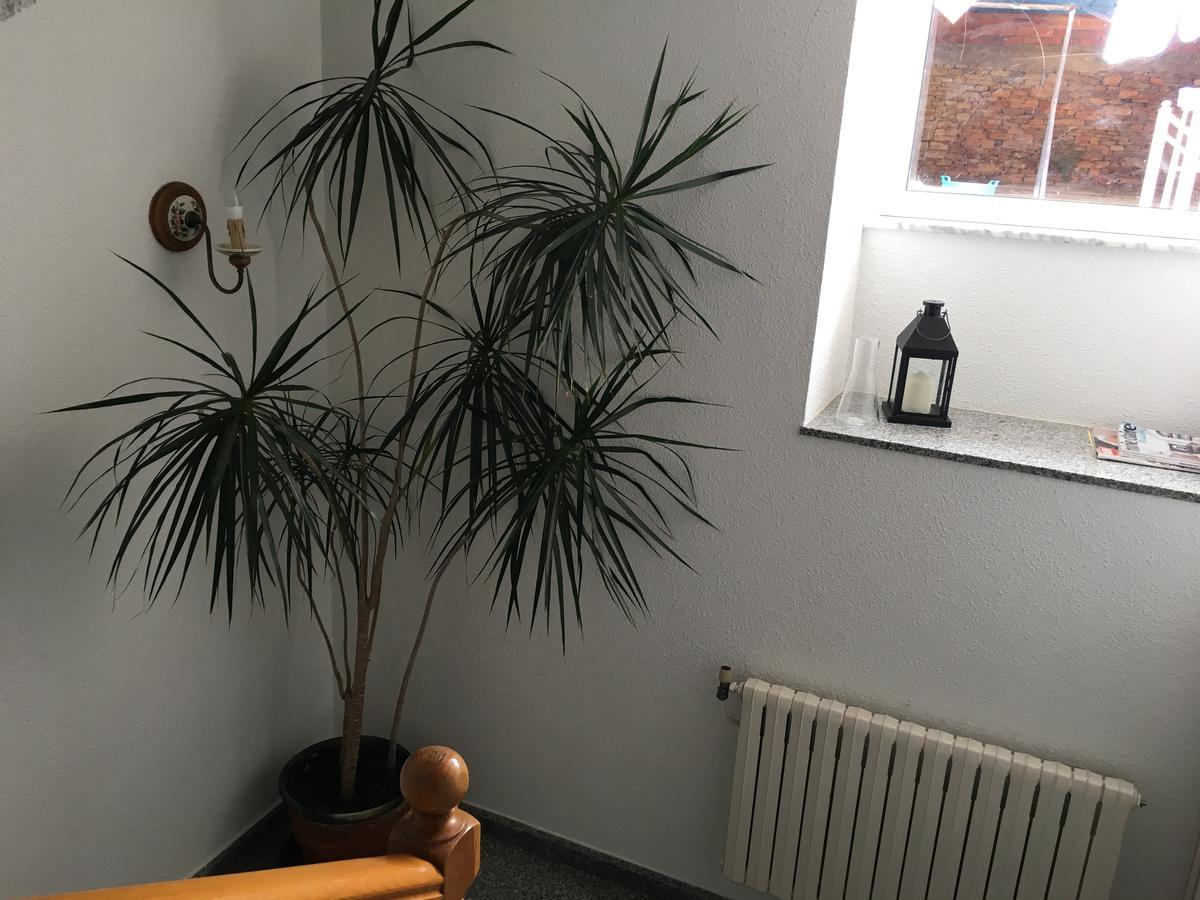 Hotel Pension Rosalia De Castro Foz Zewnętrze zdjęcie